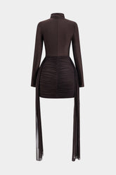 Mesh Ruched Mock Neck Long Sleeve Mini Dress